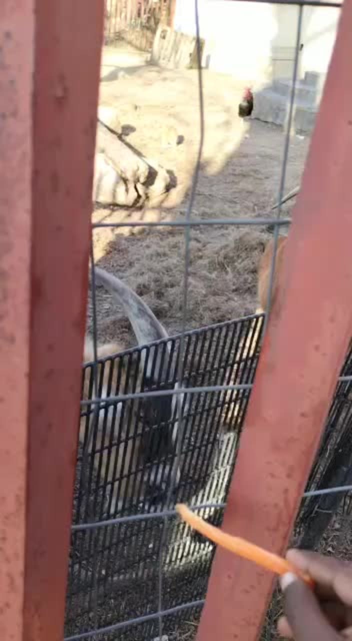 Art in a Glass - Riversands Farm Village