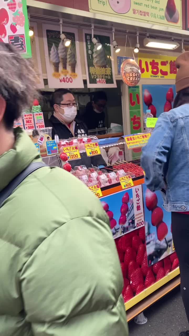 Video review of Nakamise Shopping Street (仲見世商店街)