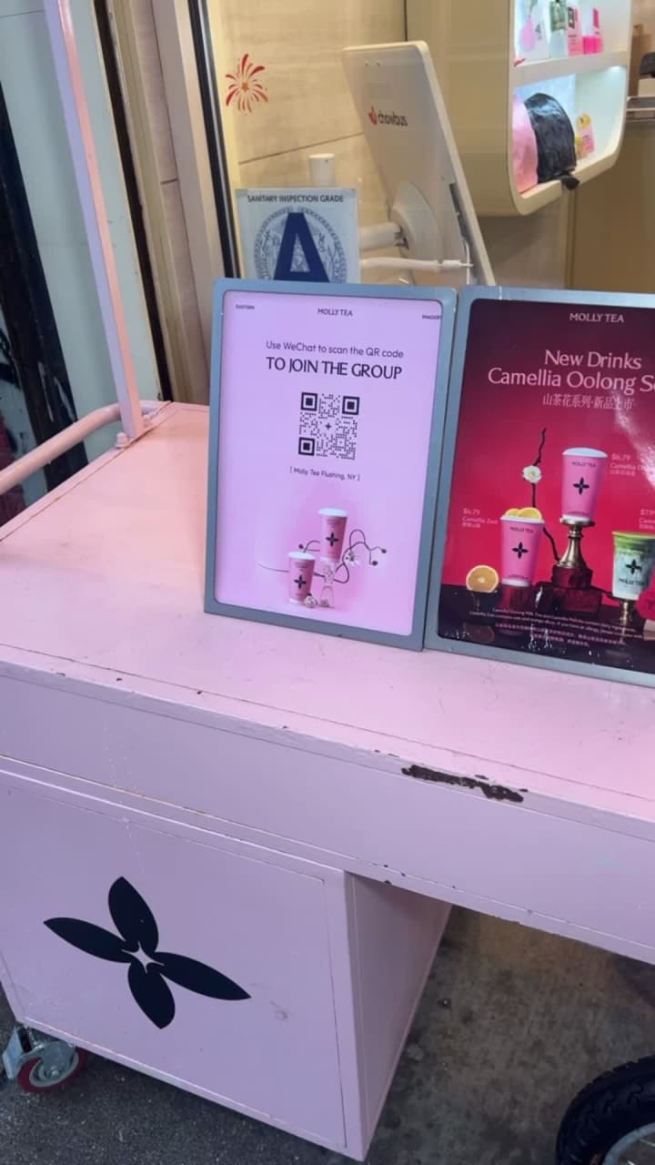 Molly Tea 茉莉奶白