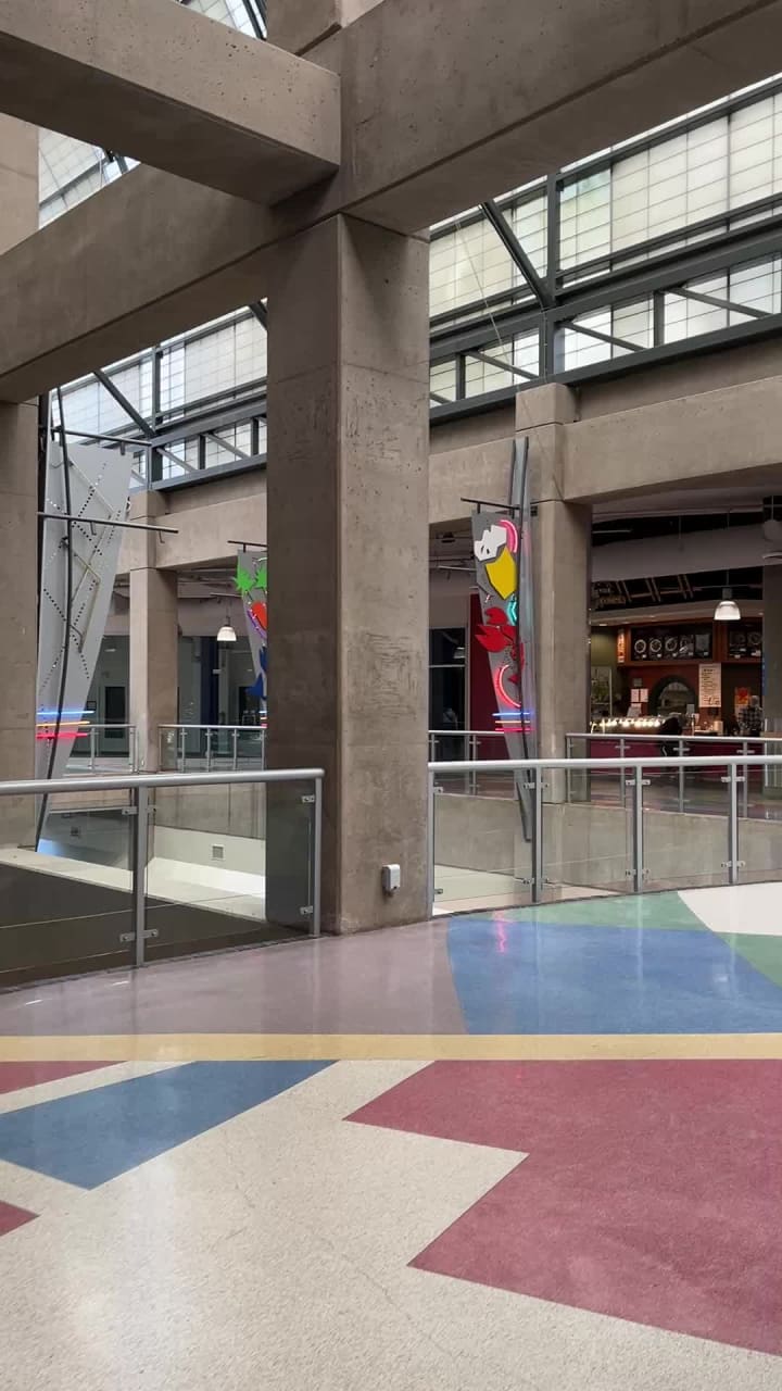 Video review of International Village