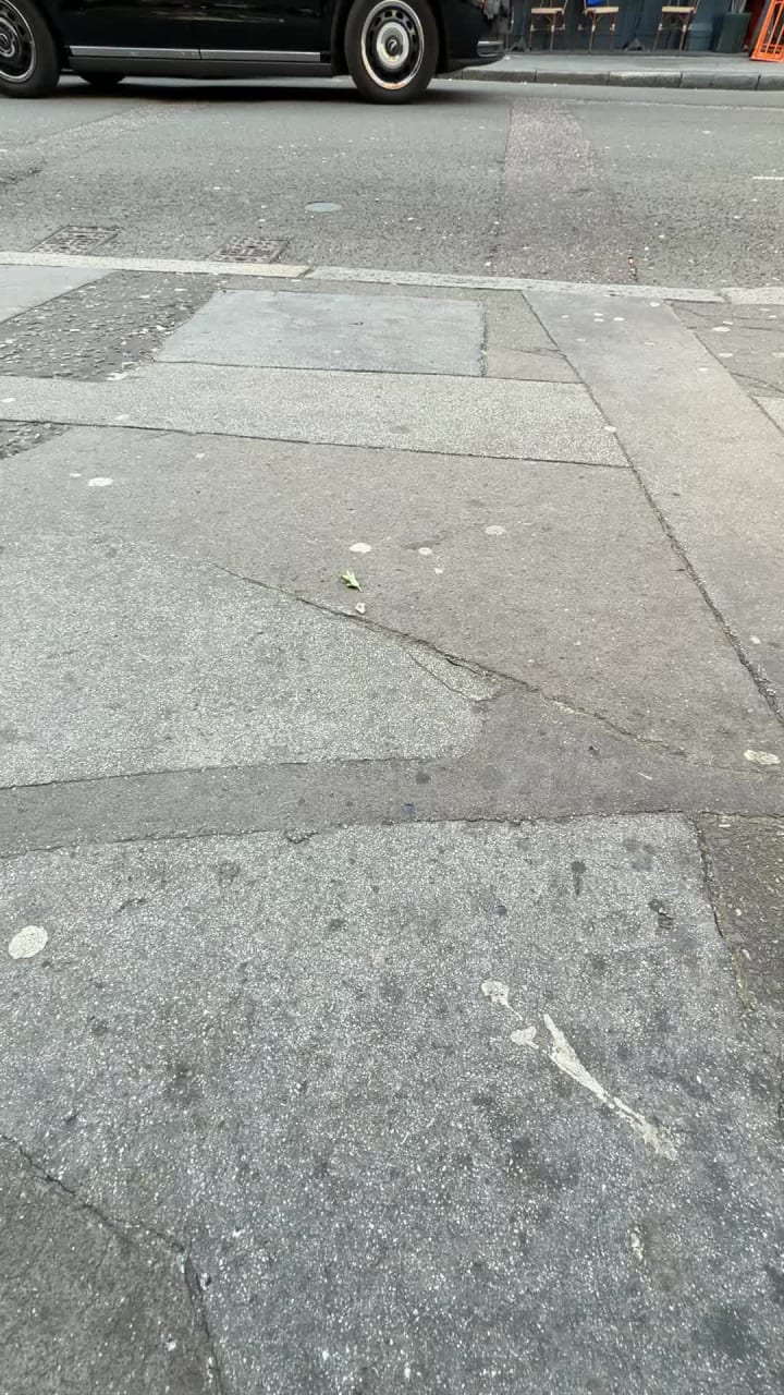 Video review of Yori