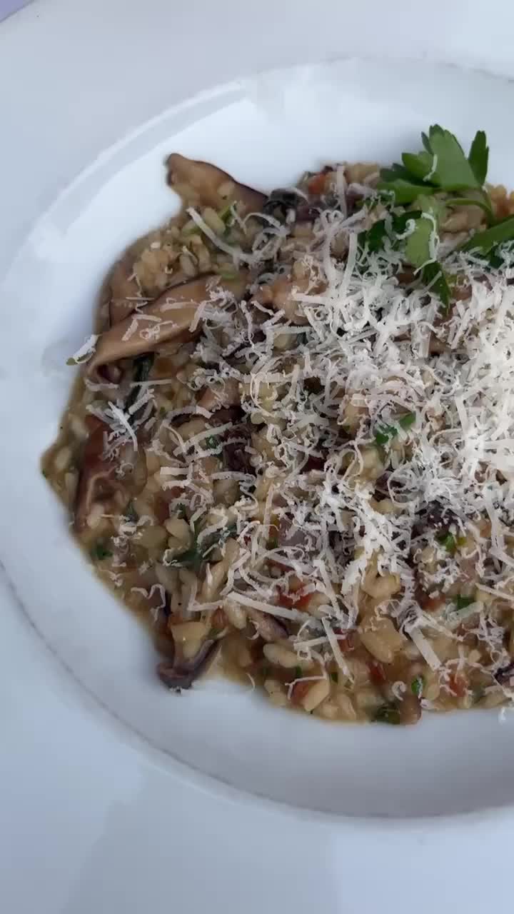 Video review of Renato's