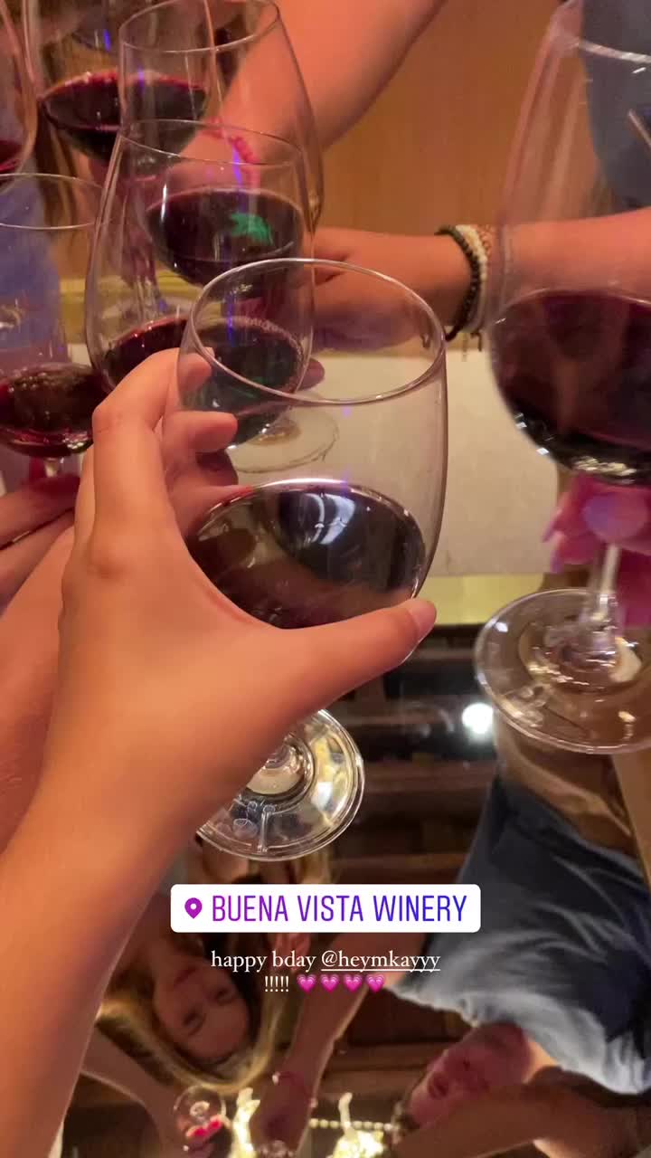 Video review of Buena Vista Carneros Winery