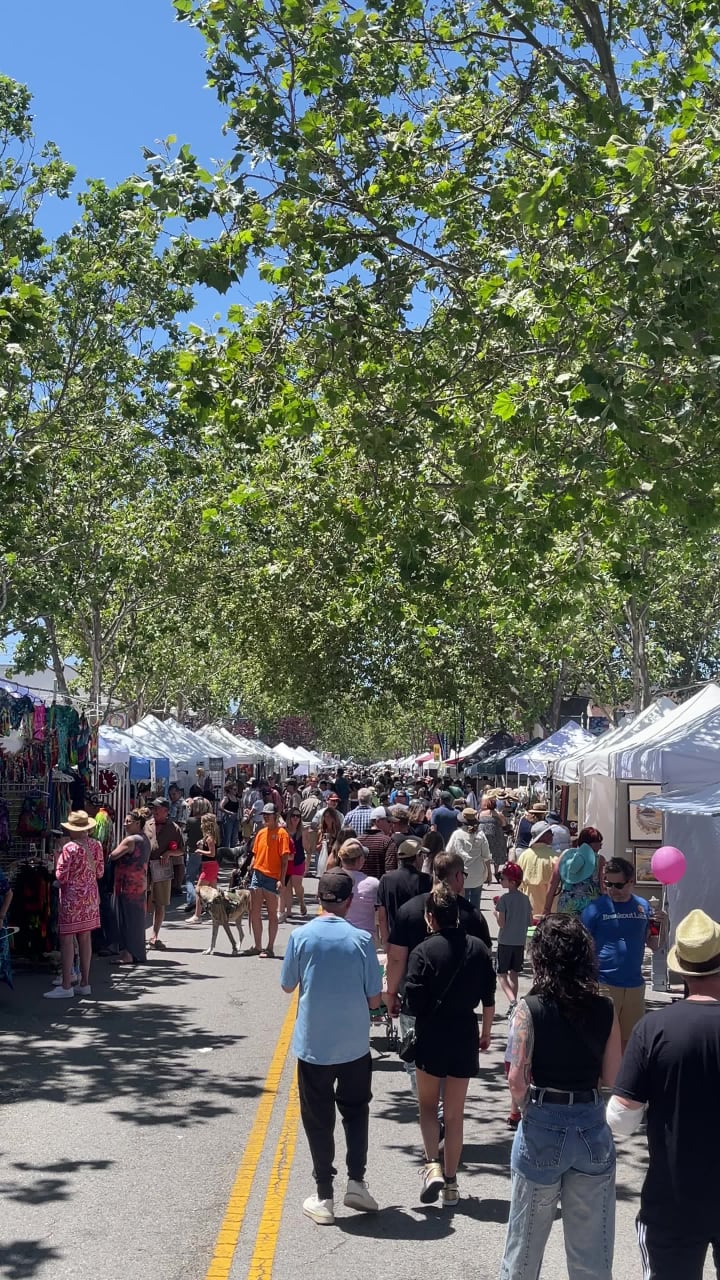 Novato Art, Wine & Music Festival