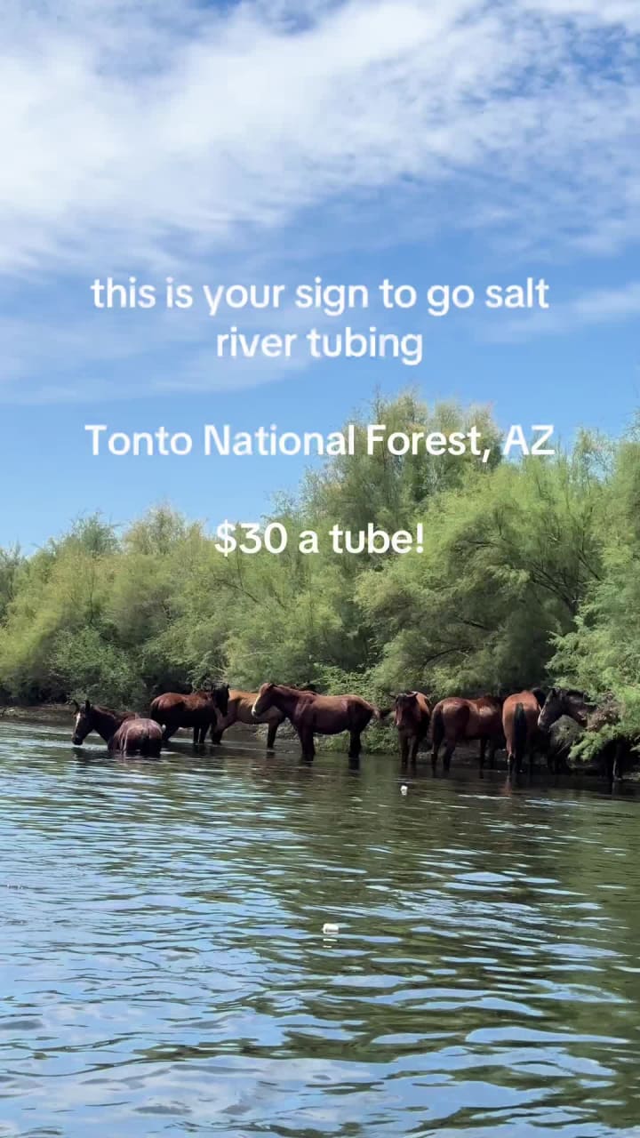 Tonto National Forest Office