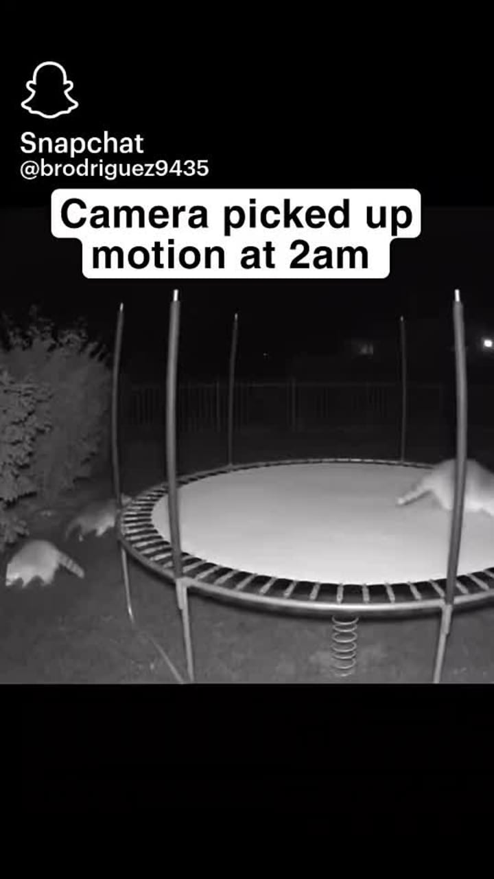 Video review of Idaho Falls Public Library