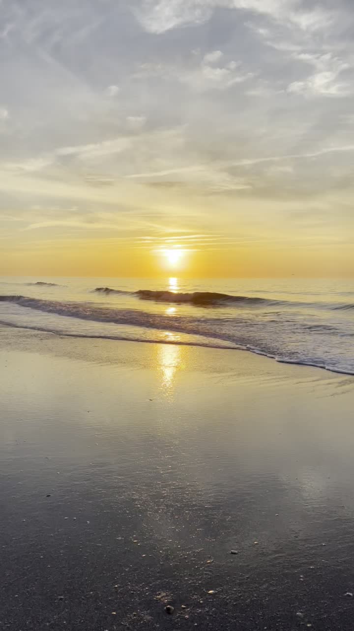 Video review of Springmaid Pier