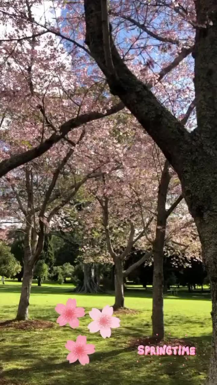 Video review of Cornwall Park