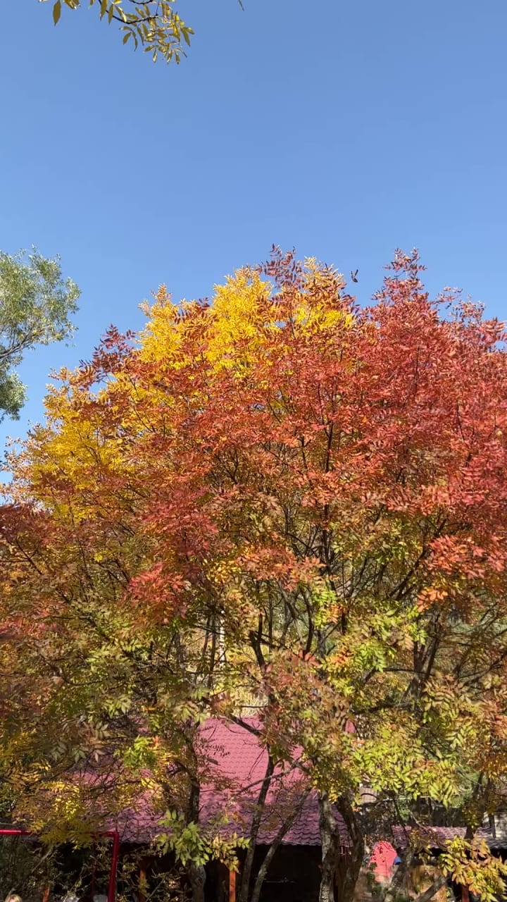 Arthurs Aghveran Resort