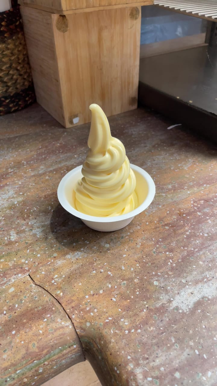 The Tropical Hideaway