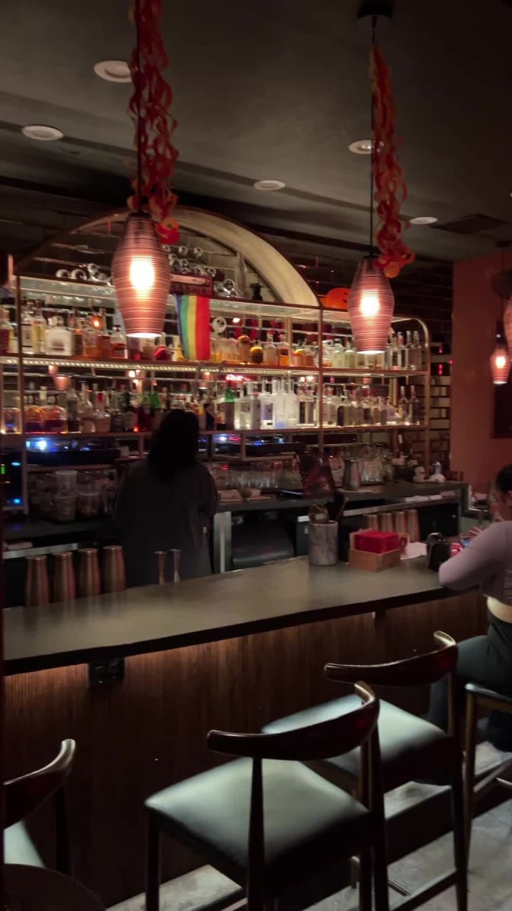 Video review of Ladylove Lounge & Sound