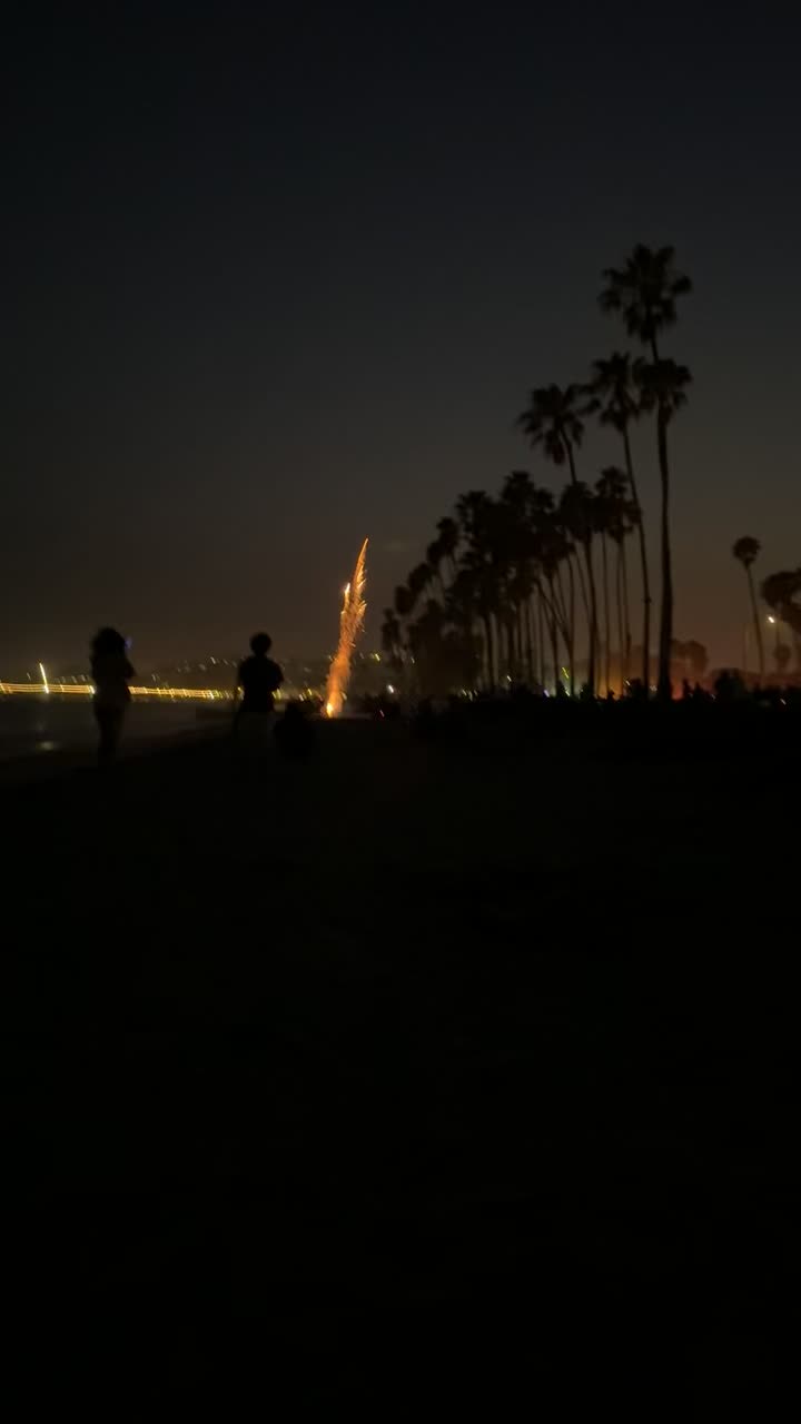 Video review of East Beach