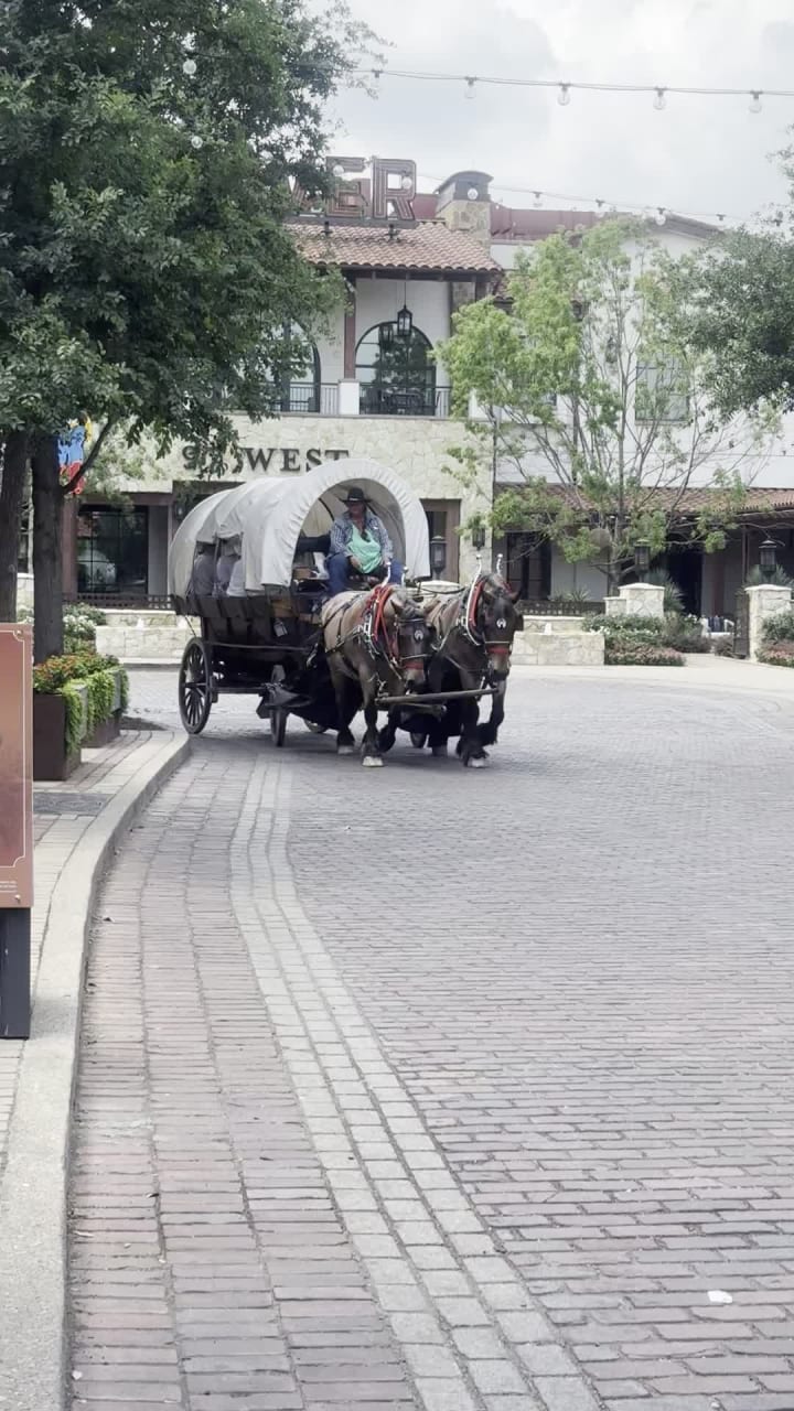 97 West Kitchen + Bar at Hotel Drover