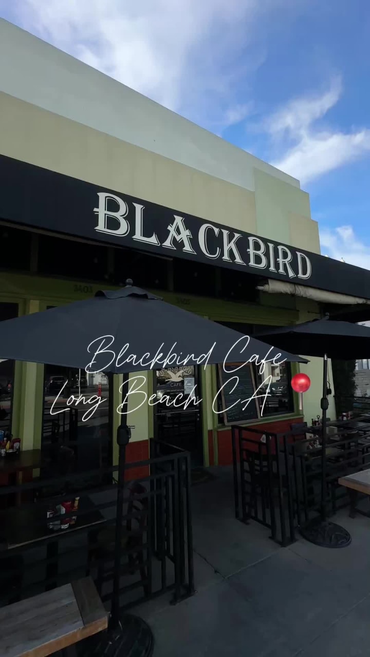 Video review of Blackbird Cafe