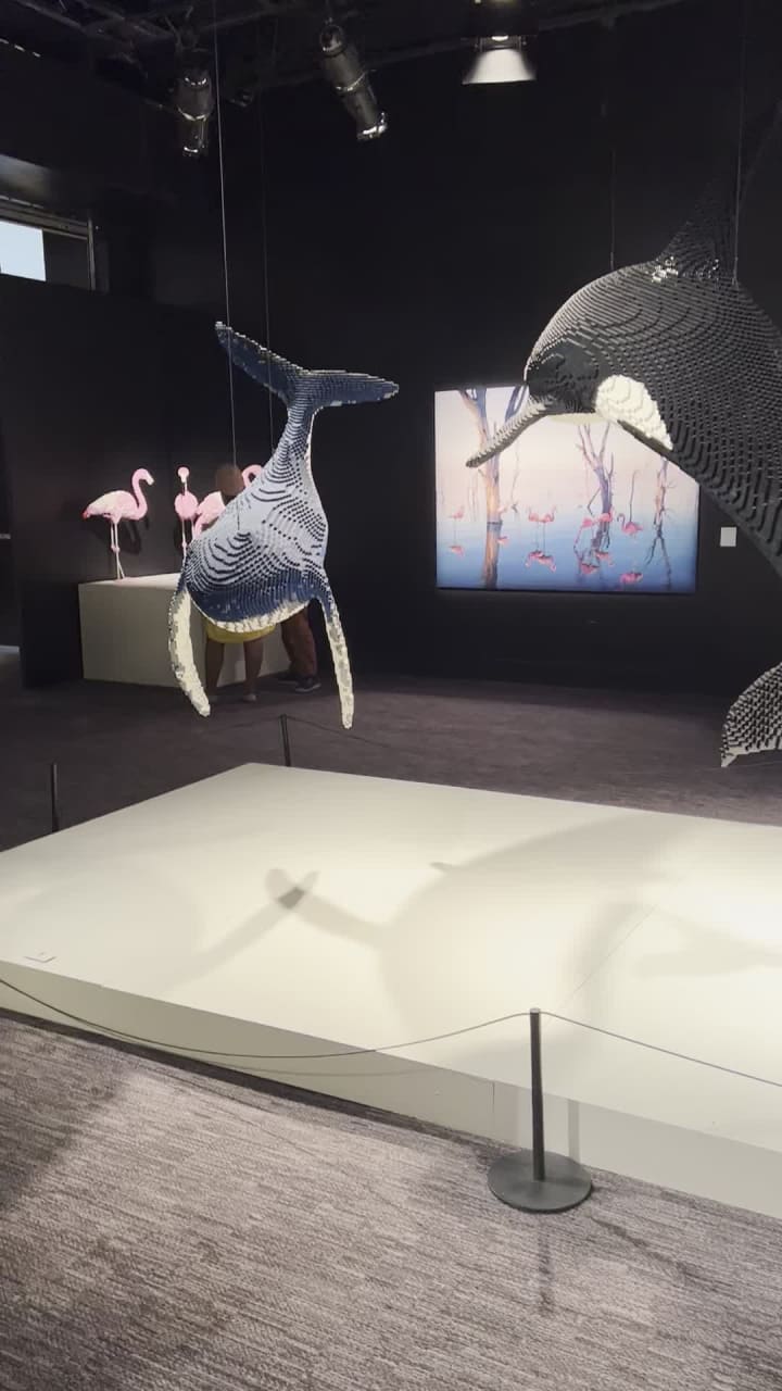 Video review of The Franklin Institute