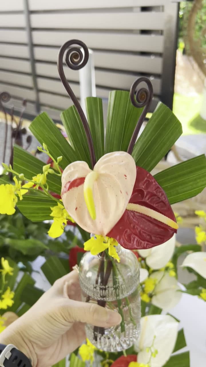 Video review of Paiko