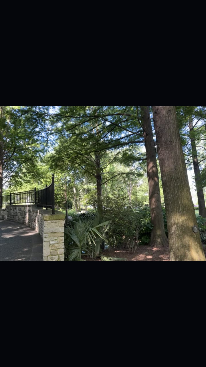 Video review of DeGolyer Gardens