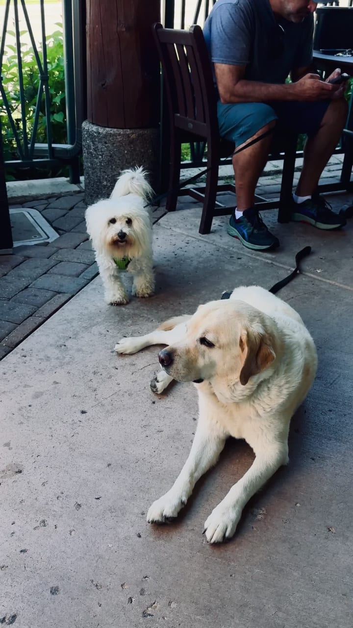 Libation Lodge by South Lake Brewing Company