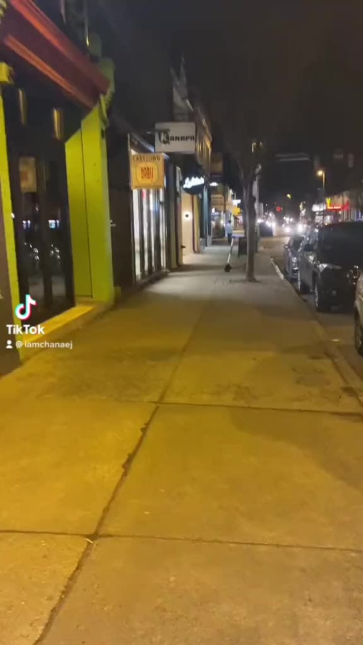 Video review of Lolita's