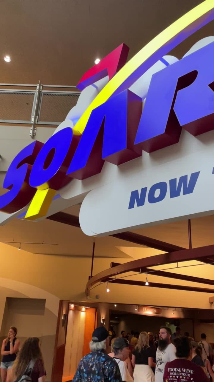 Video review of Soarin'