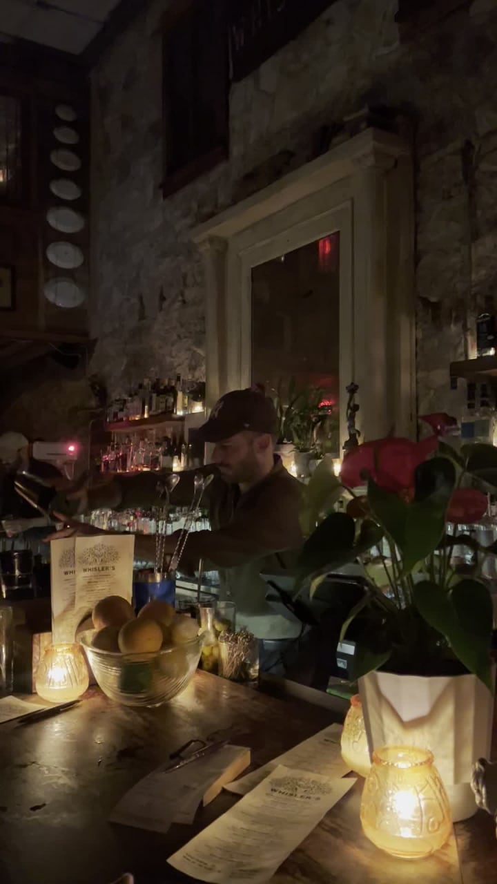 Video review of Whisler's