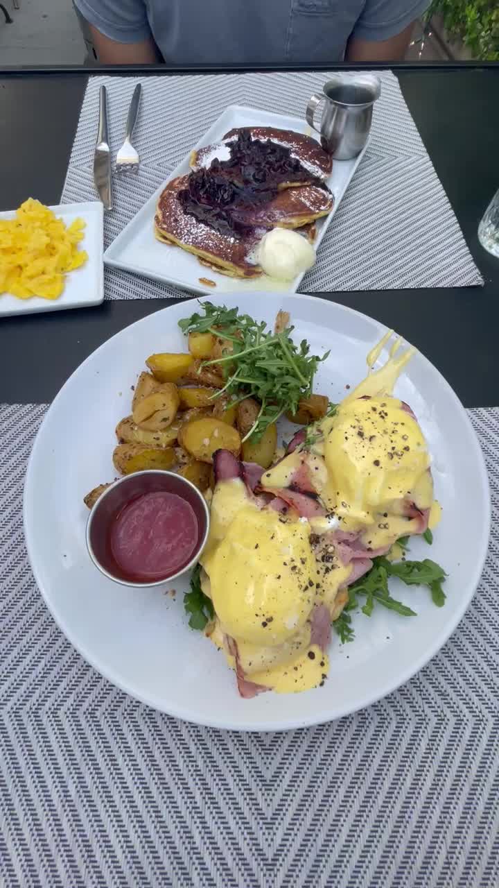 Video review of Scarlett Begonia