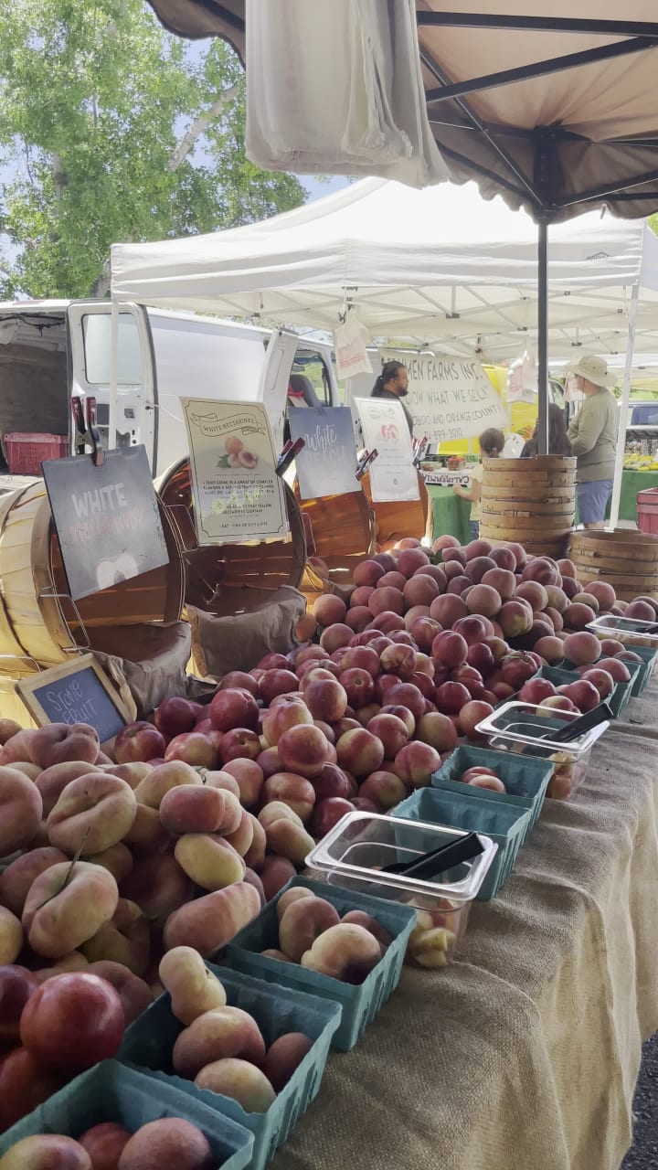 Video review of Irvine Regional Park