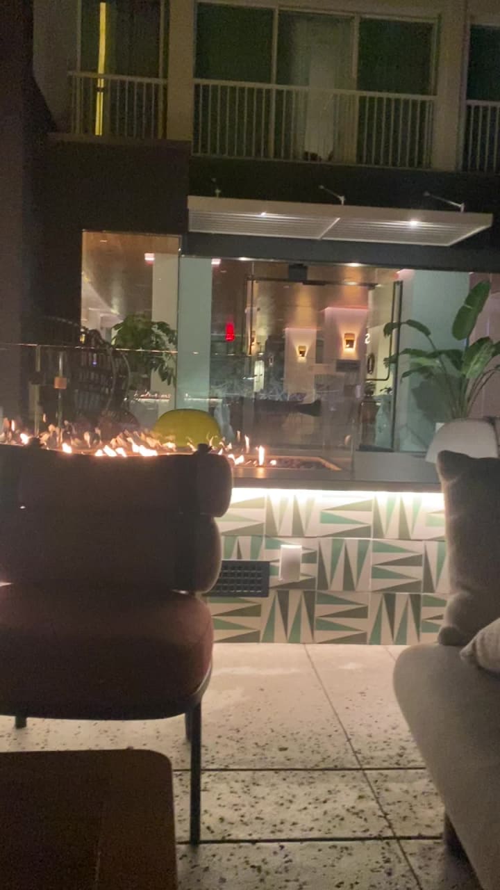 Sugar Palm Santa Monica