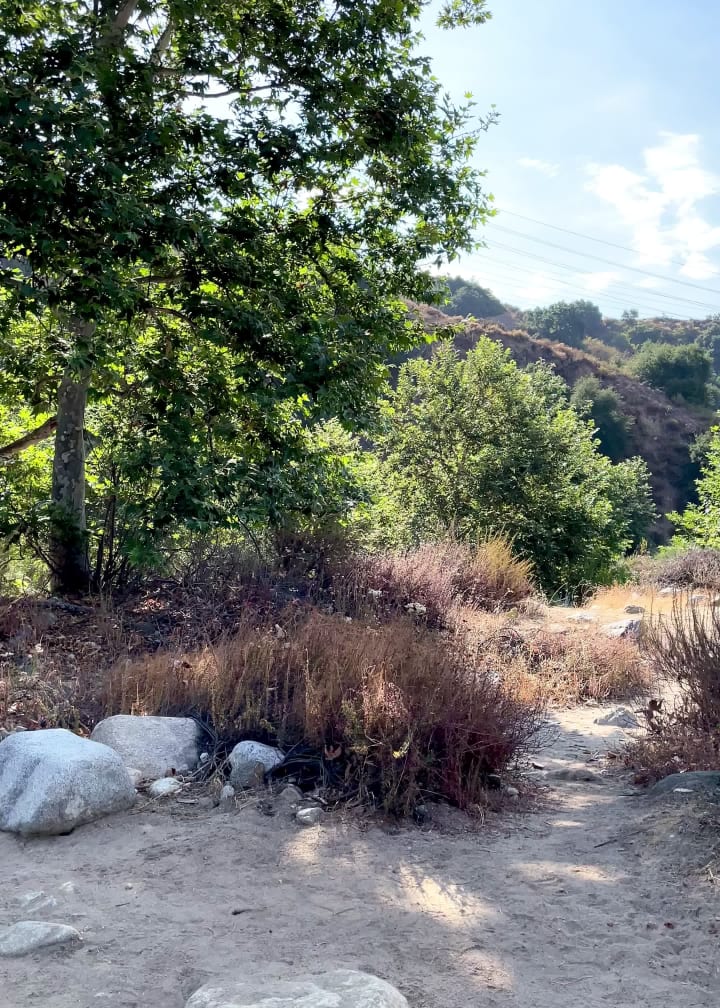 Video review of Eaton Canyon Hiking Trail