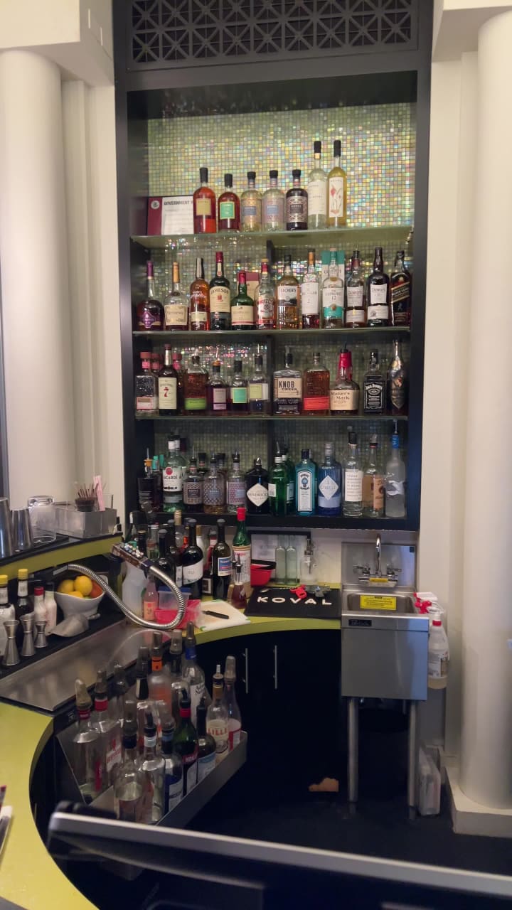 Video review of Goodman Theatre