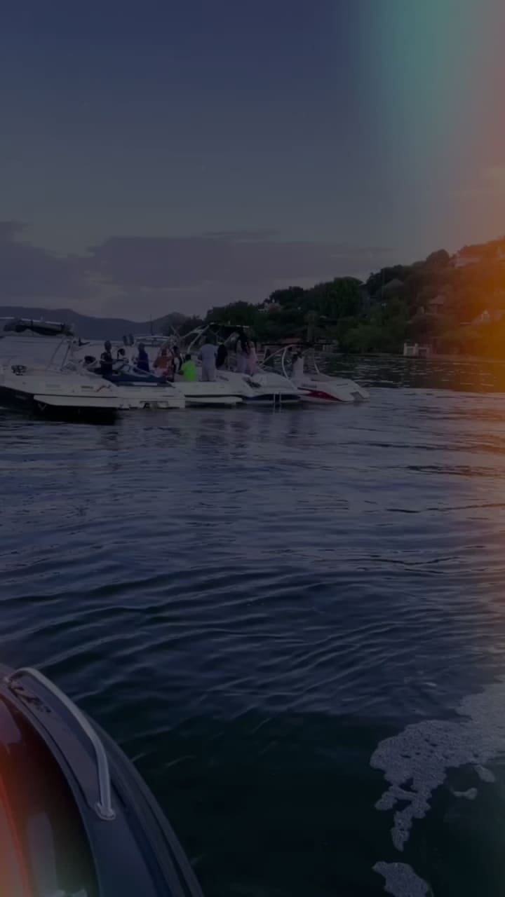 Haartebees North west province South African