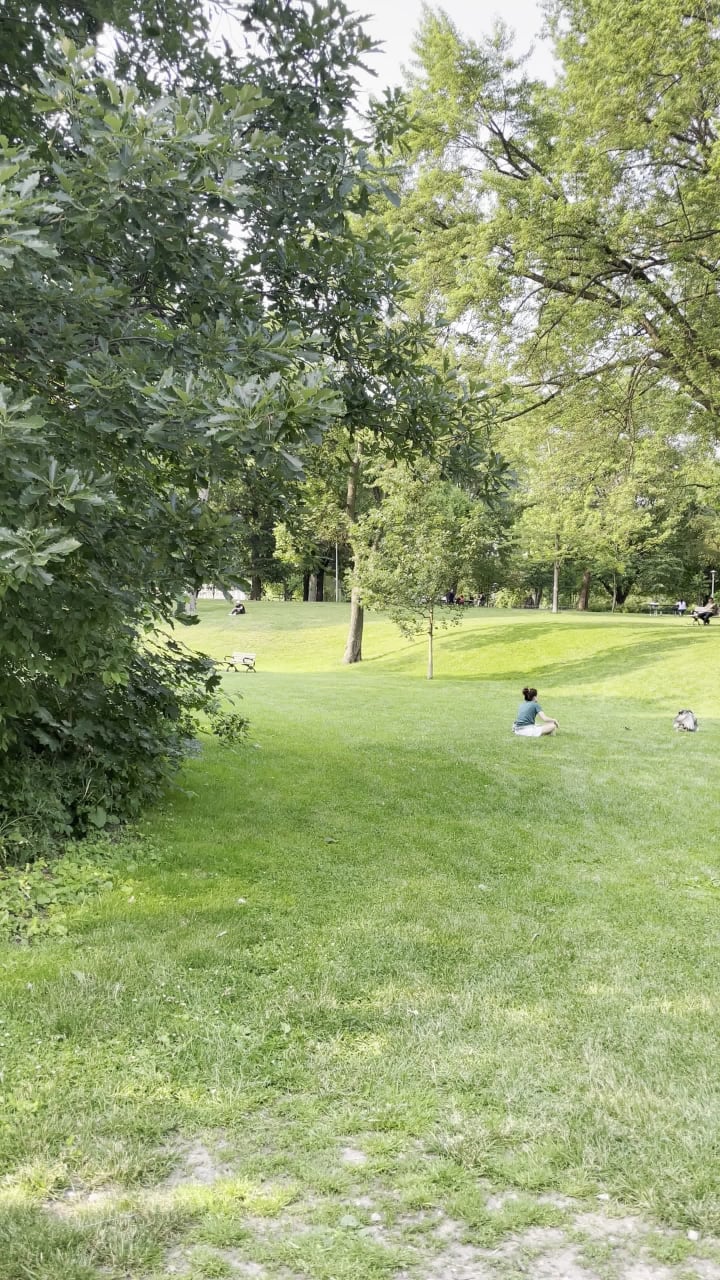 Dufferin Grove Park