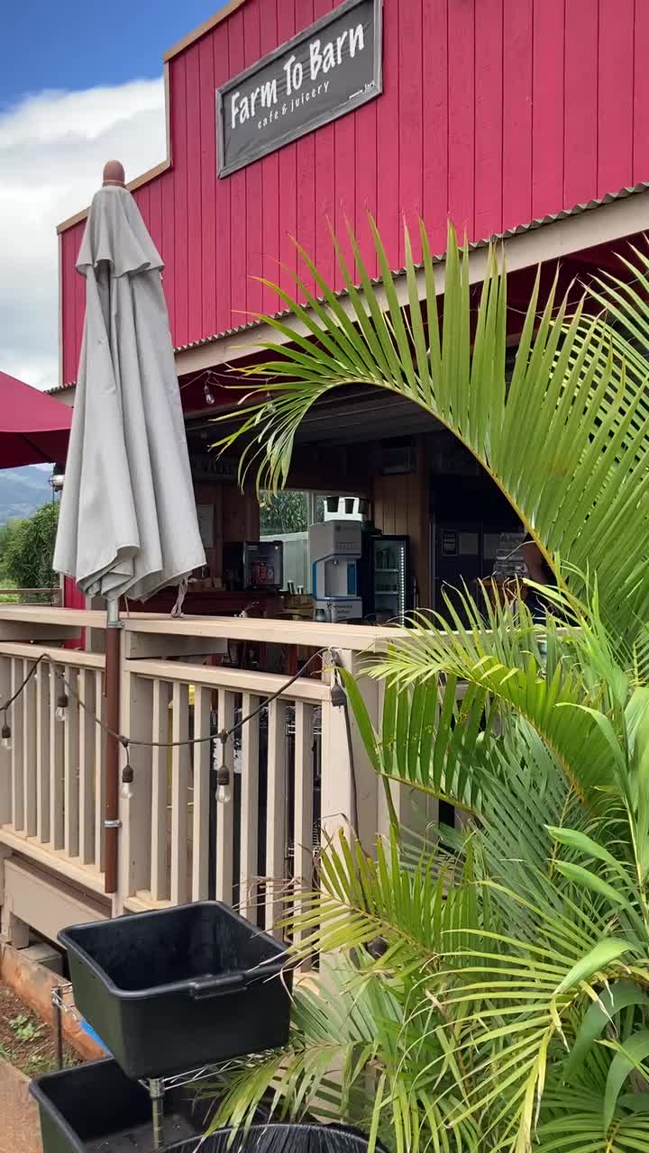 Video review of Farm To Barn Cafe & Juicery