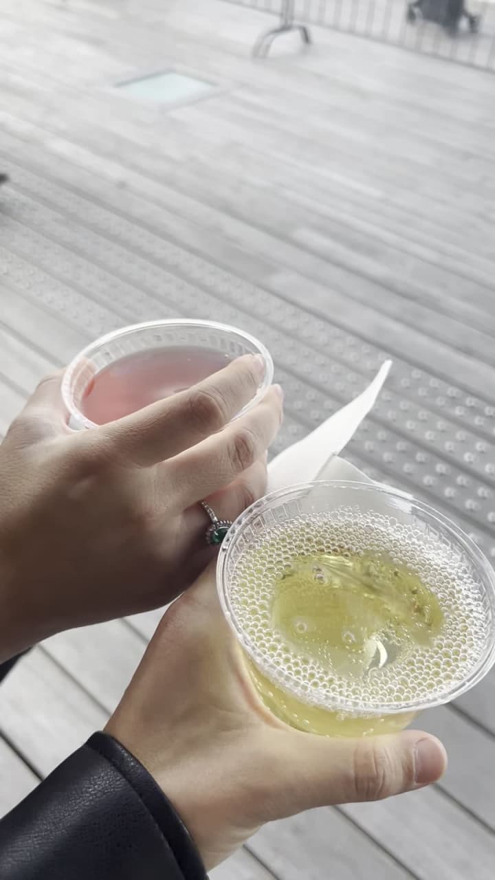 Video review of Institute of Contemporary Art