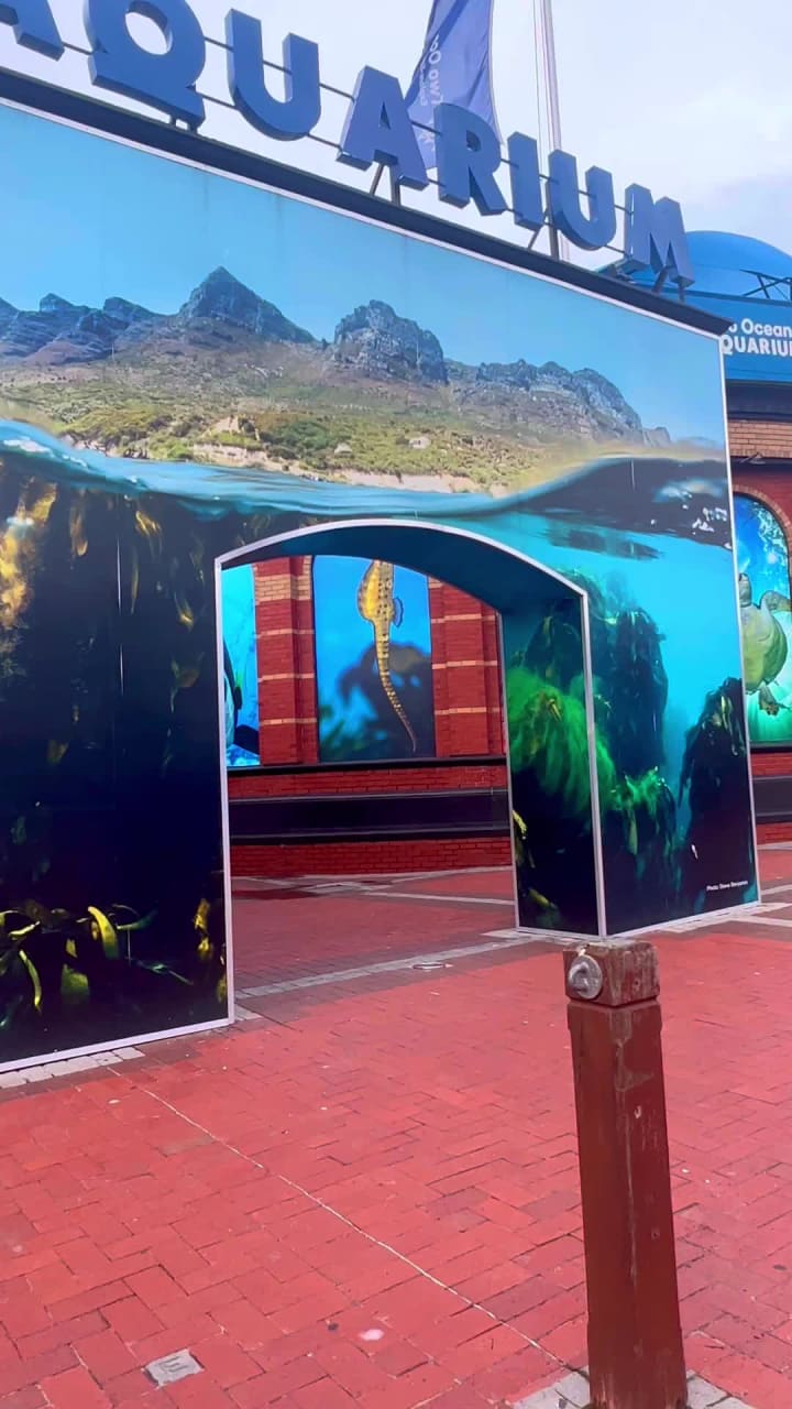 Video review of Two Oceans Aquarium