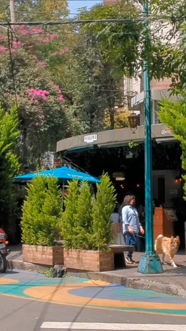 Patagonia Parrilla de Campo