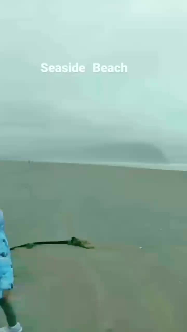 Seaside Beach: Address