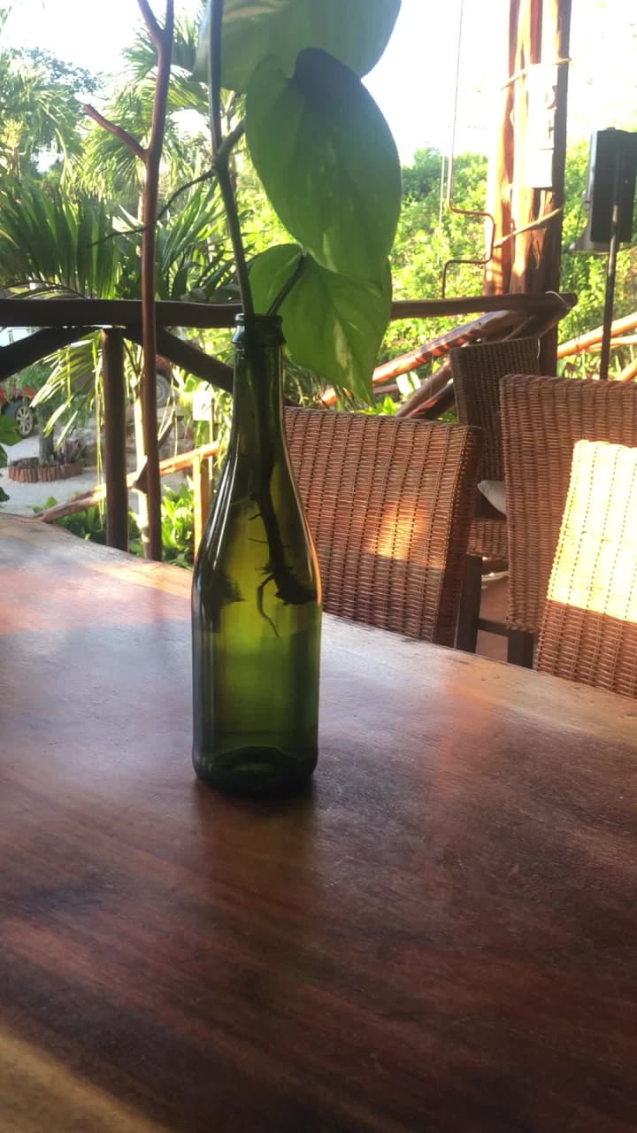 Hotel Zenti'k Project