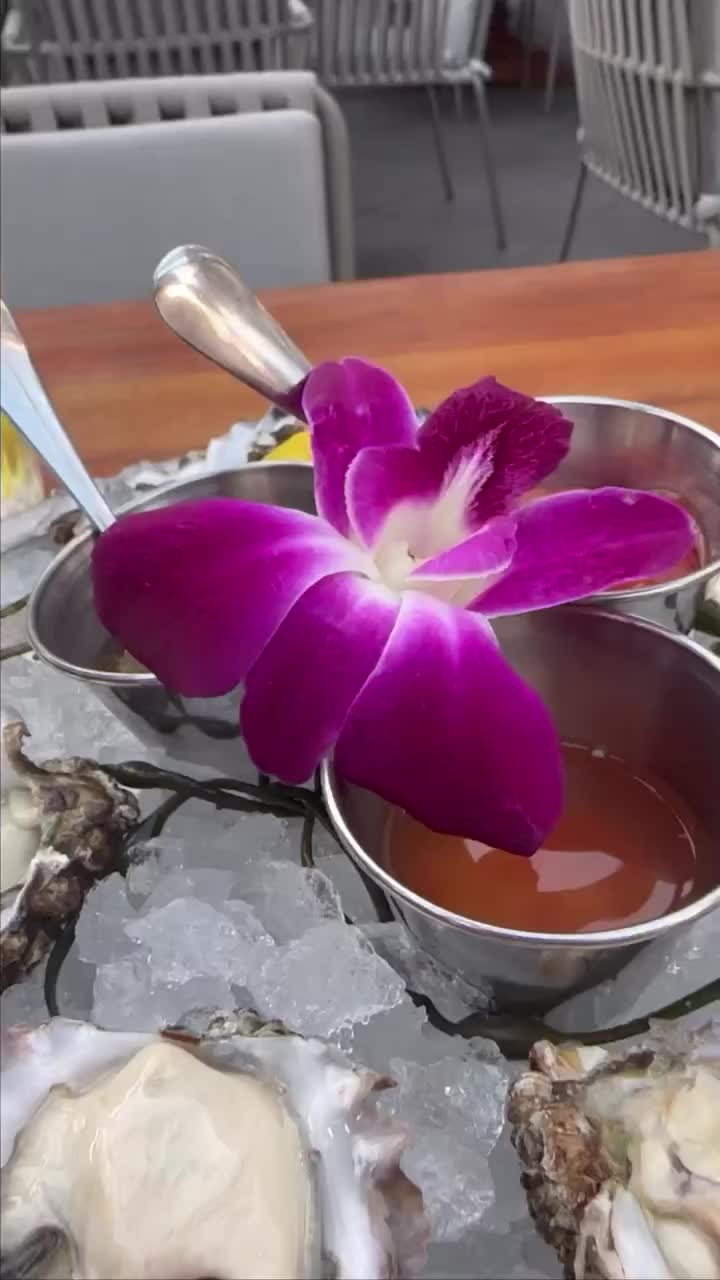 Video review of Herringbone Waikiki