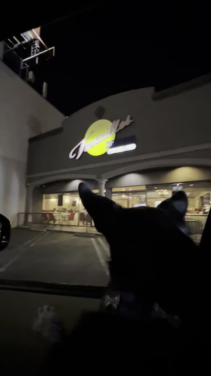 Video review of Versailles