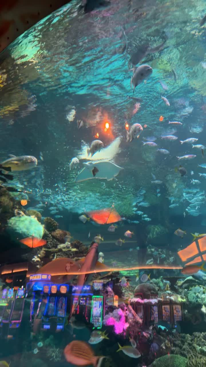 Silverton Casino Hotel