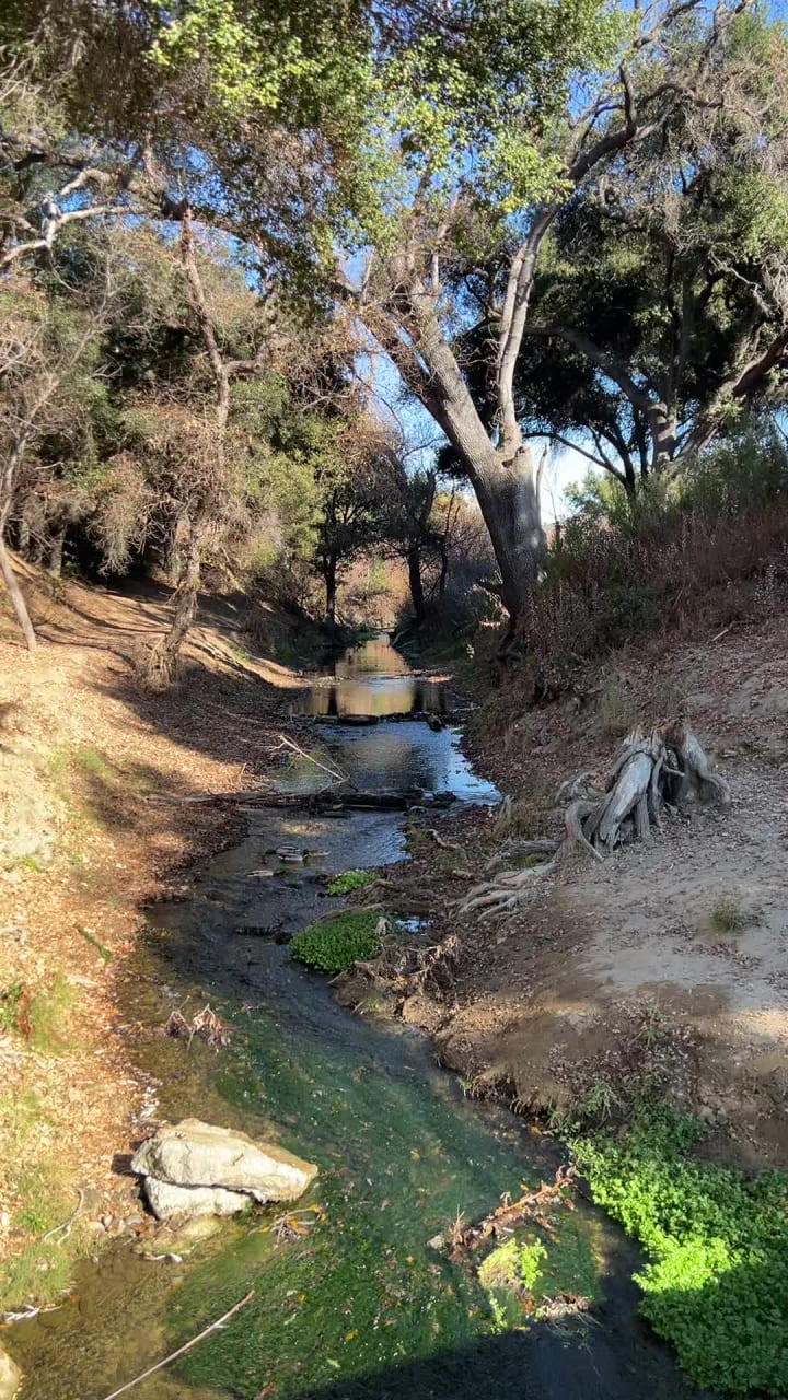 Video review of Malibu Creek State Park