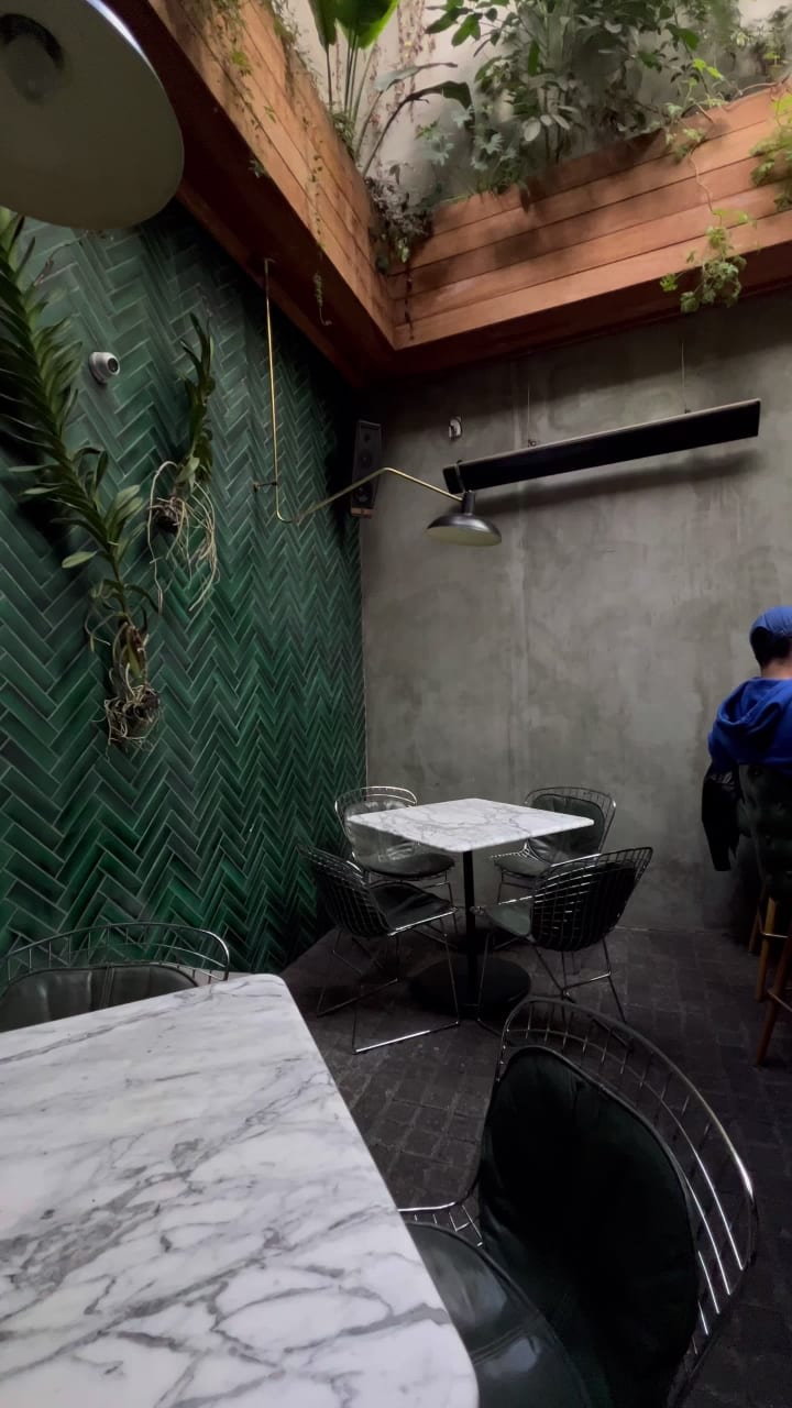 Video review of Elly’s