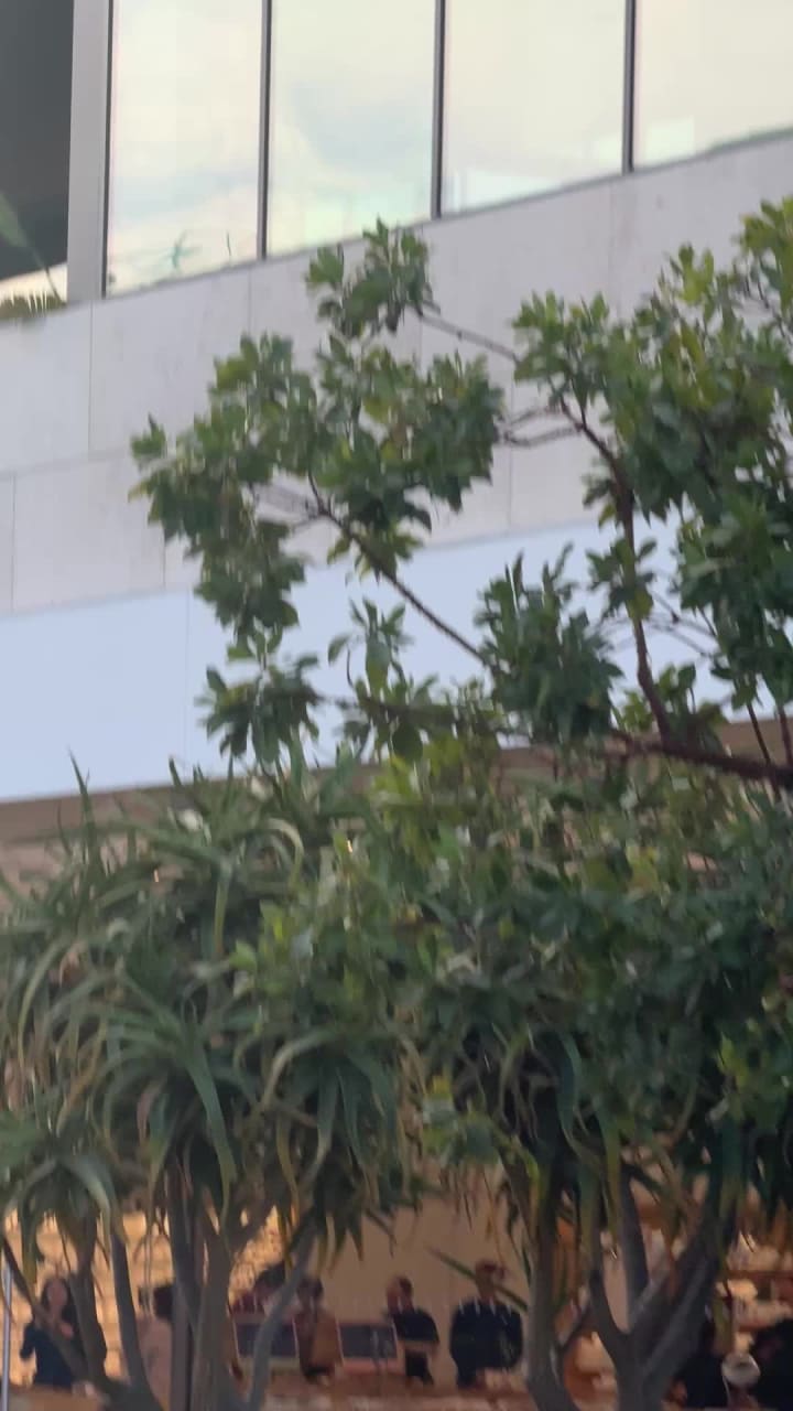 Video review of Apple Hillsdale