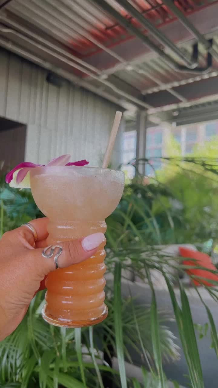 Video review of Zanzibar