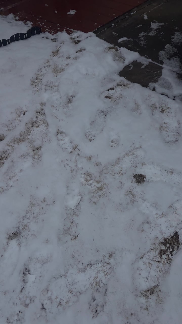 Video review of McCray's Tavern Midtown