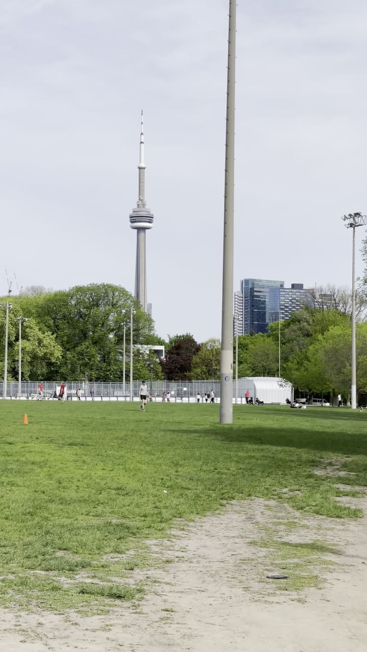 Video review of Trinity Bellwoods Park