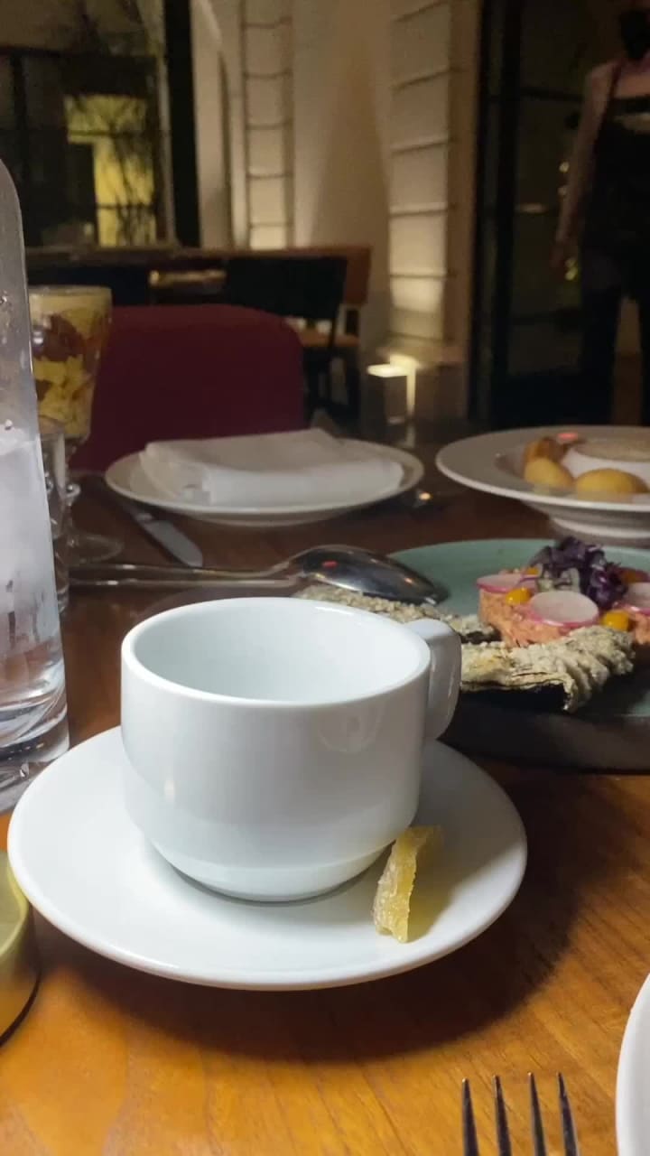 Video review of Redbird