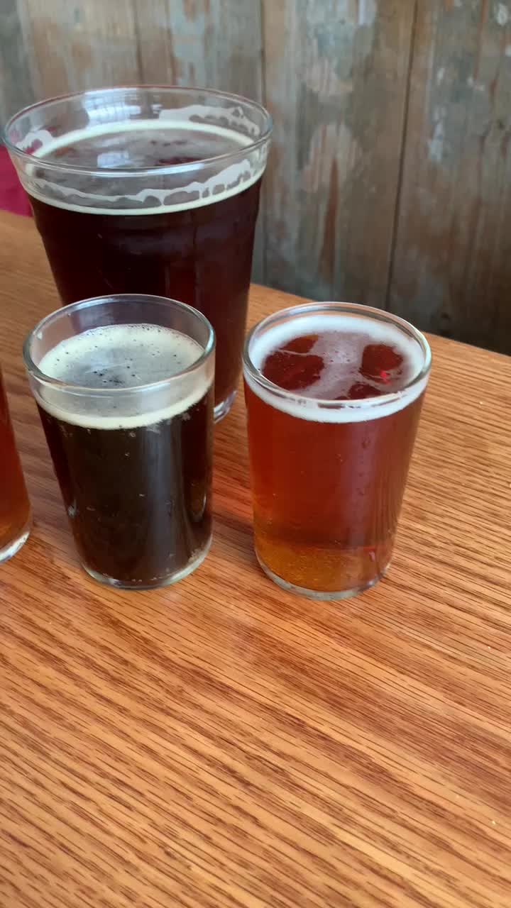 Video review of Turtle Swamp Brewing