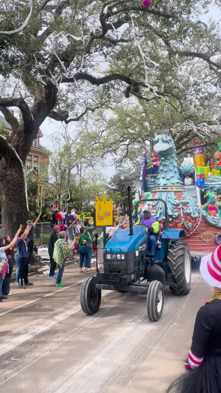 Parade Route- St. Charles Ave Between Constantinople and General Taylor